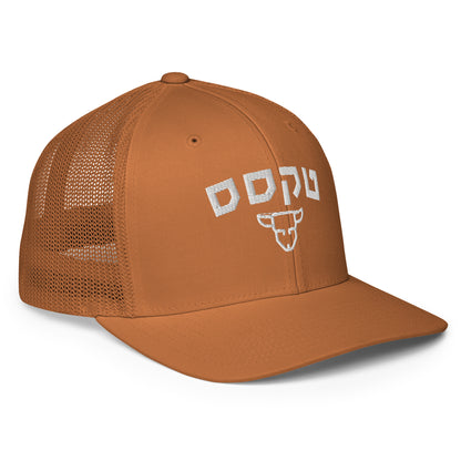 Texas Closed-Back Trucker Hat: Sleek Style