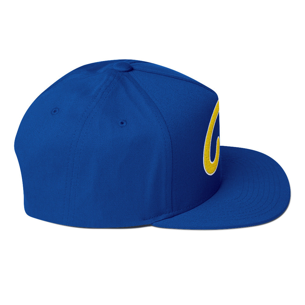 Pittsburgh "Pitt" Flat Bill Cap: Sharp Style