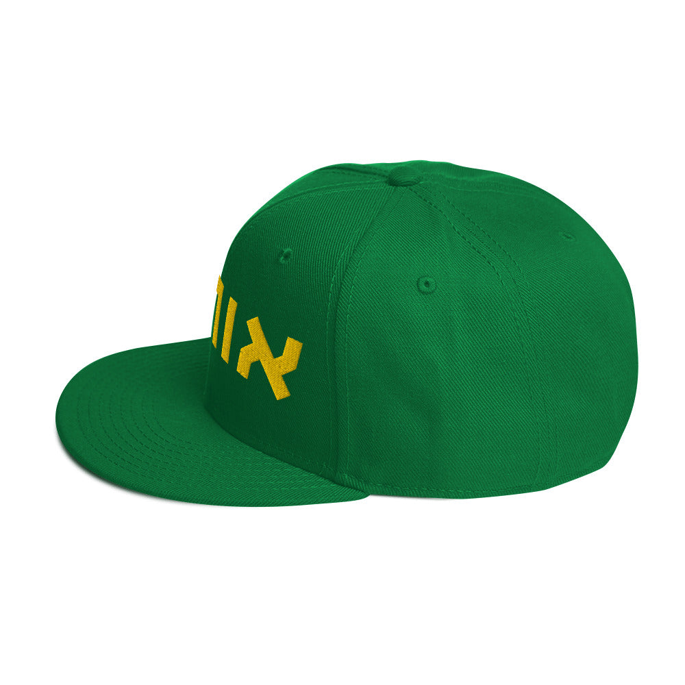 Oregon Hebrew Snapback Hat: Sharp Style