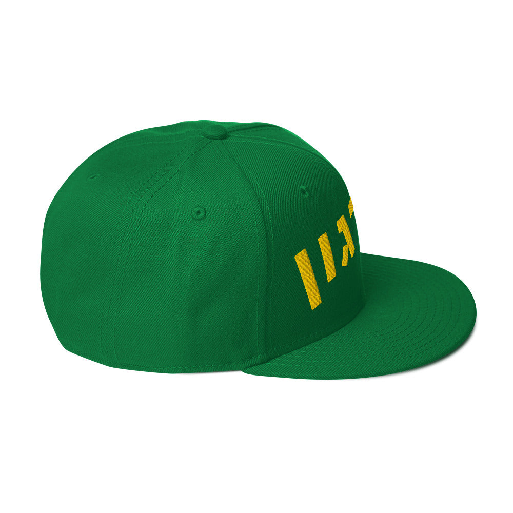 Oregon Hebrew Snapback Hat: Sharp Style