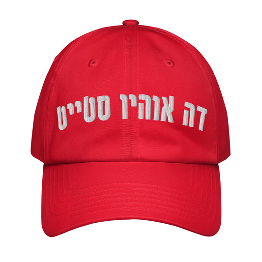 Ohio State Hebrew Under Armour® Dad Hat: Style & Shade