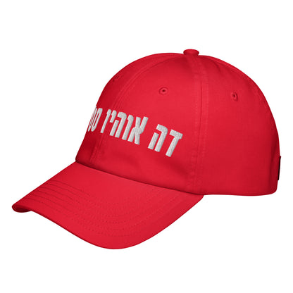 Ohio State Hebrew Under Armour® Dad Hat: Style & Shade