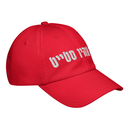 Ohio State Hebrew Under Armour® Dad Hat: Style & Shade