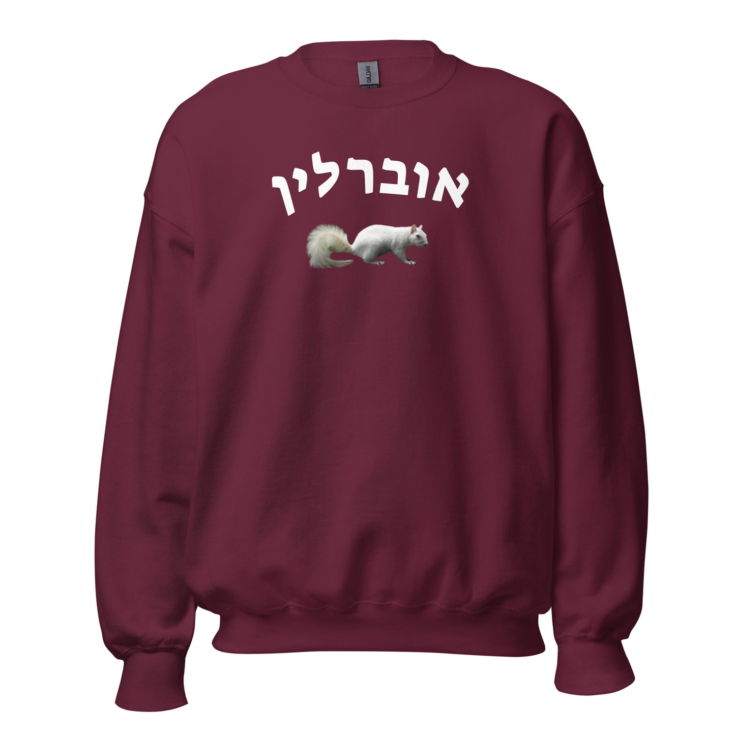 Oberlin Squirrel Hebrew Sweatshirt // Celebrate Oberlin Pride in Hebrew