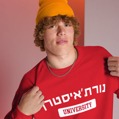 Northeastern Hebrew Sweatshirt: Cozy Red Comfort with White Script