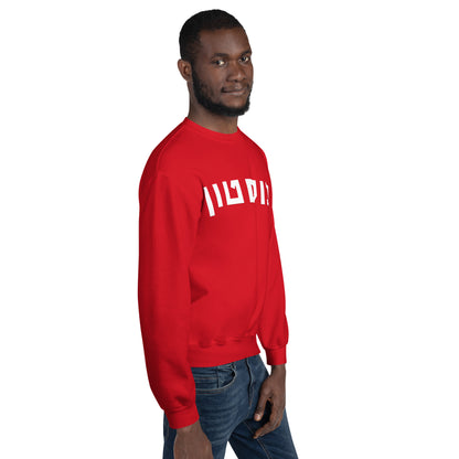 Boston Hebrew Sweatshirt: Cozy Blend of Culture and Comfort