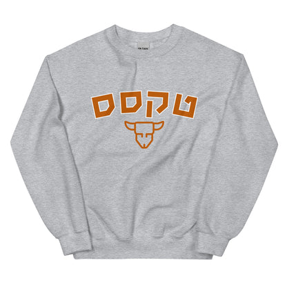 Texas Sweatshirt: Cozy Comfort