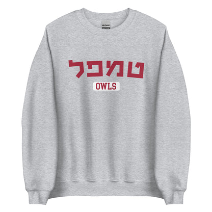 Temple Hebrew Sweatshirt: Cozy Comfort