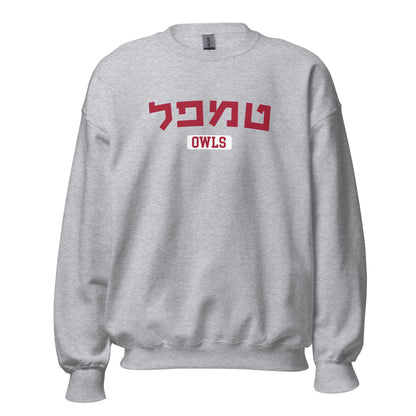 Temple Hebrew Sweatshirt: Cozy Comfort