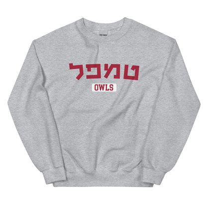 Temple Hebrew Sweatshirt: Cozy Comfort