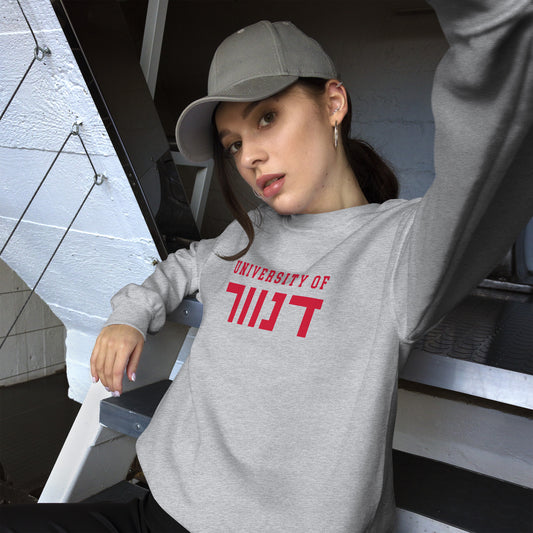 Denver Hebrew Script Sweatshirt: Cozy Appeal