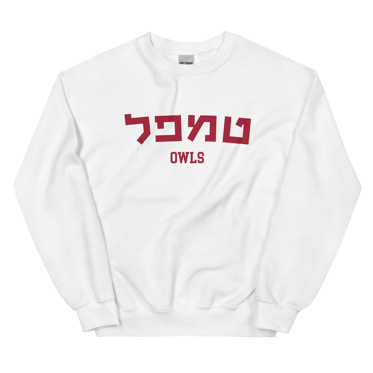 Temple Hebrew Sweatshirt: Cozy Comfort