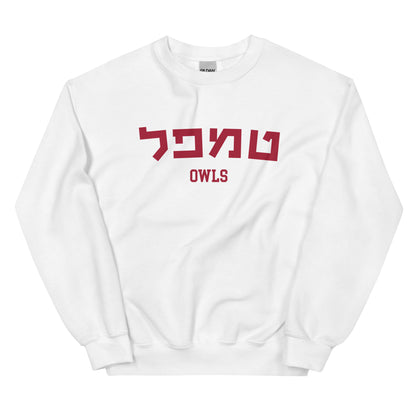 Temple Hebrew Sweatshirt: Cozy Comfort