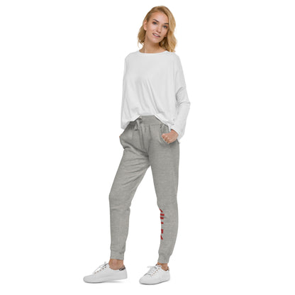 Cornell Hebrew fleece sweatpants