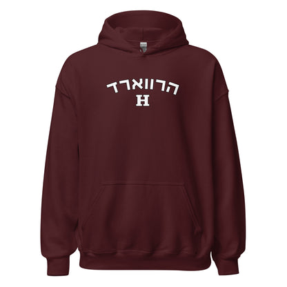 Harvard Hebrew Hoodie: Cozy Chic