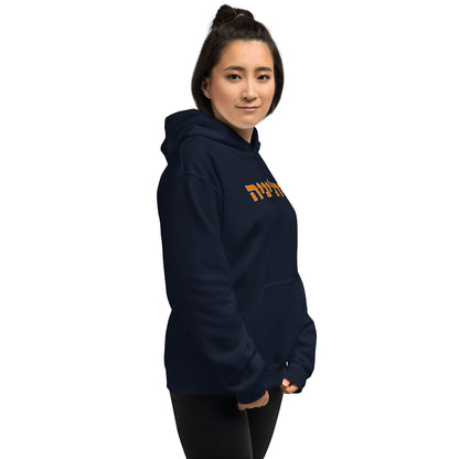 Virginia Hebrew Navy Hoodie