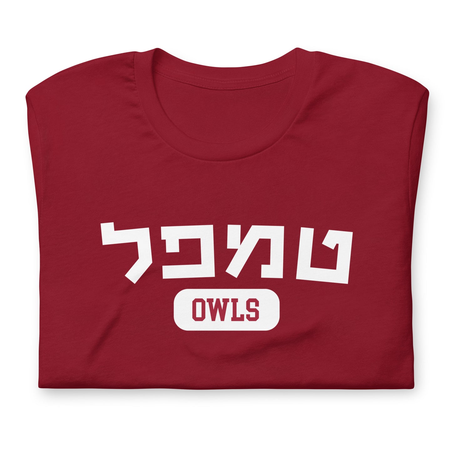 Temple Hebrew T-Shirt: Show Your Pride